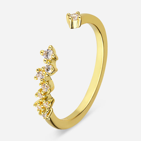 Schmaler Ring mit Steinen | Gold